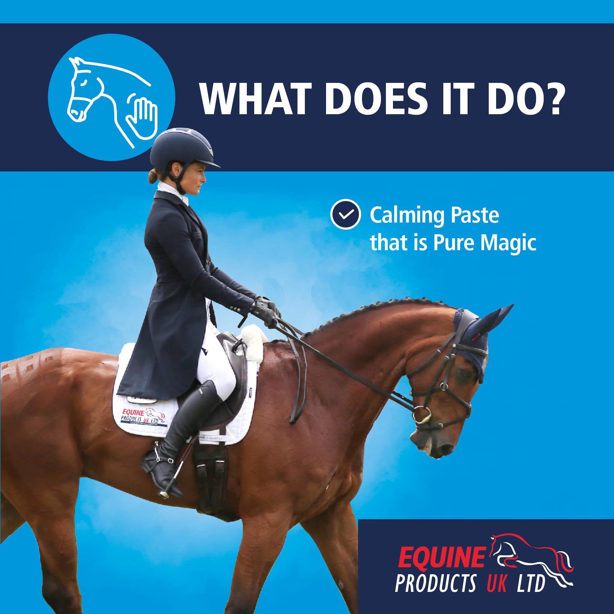 Equine Products Cool It Paste. Calmer pour Les Chevaux. Donné aux Chevaux comme complément nutritionnel Pendant Les périodes de facteurs de Stress accrus