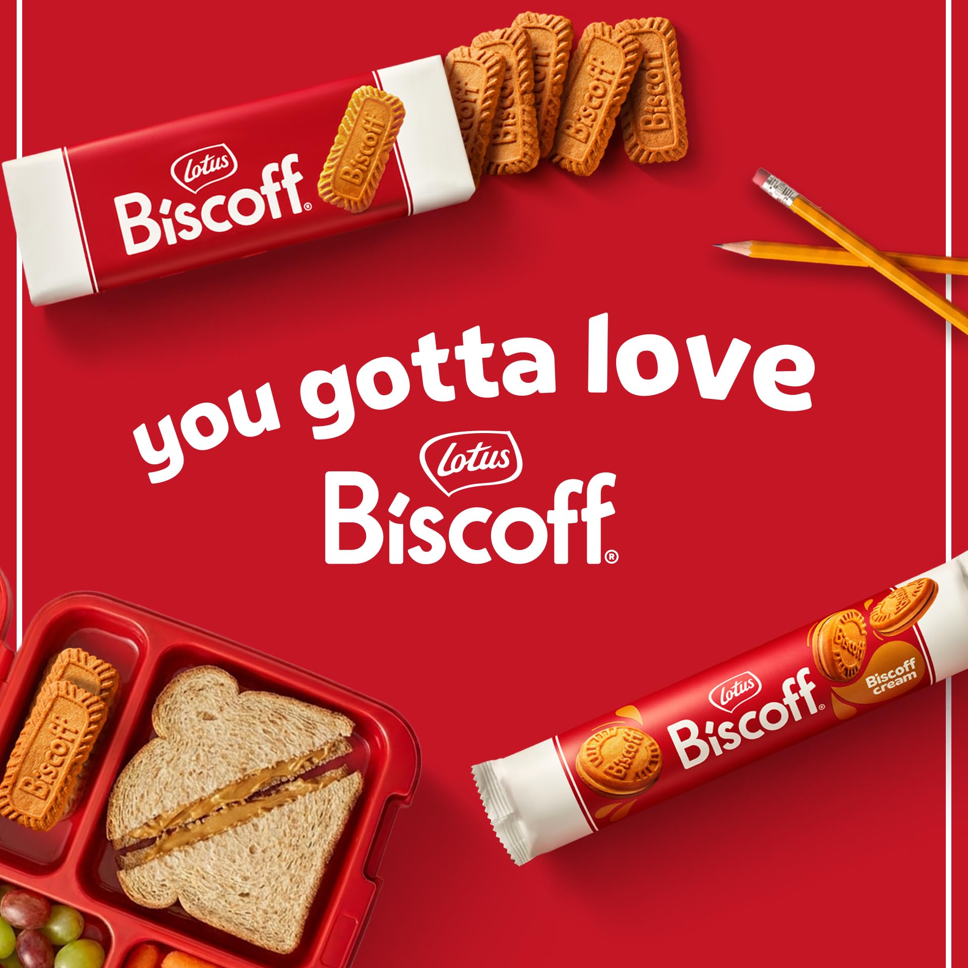 Biscoff Cookies (10x8.8 Oz)