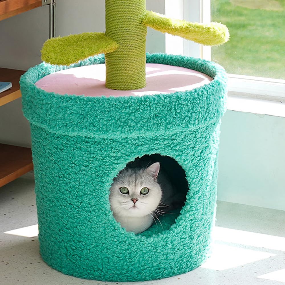Amazon | 猫 植物 ペット ベット POT PET HOUSE (PURPLE) ZEZE