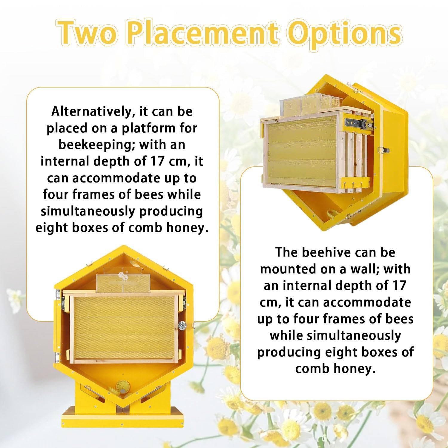 Kit ruche avec fenêtres d'observation, 3 cadres et 6 plateaux en nid d'abeille pour une gestion facile des colonies d'abeilles, apiculture intérieure et jardin