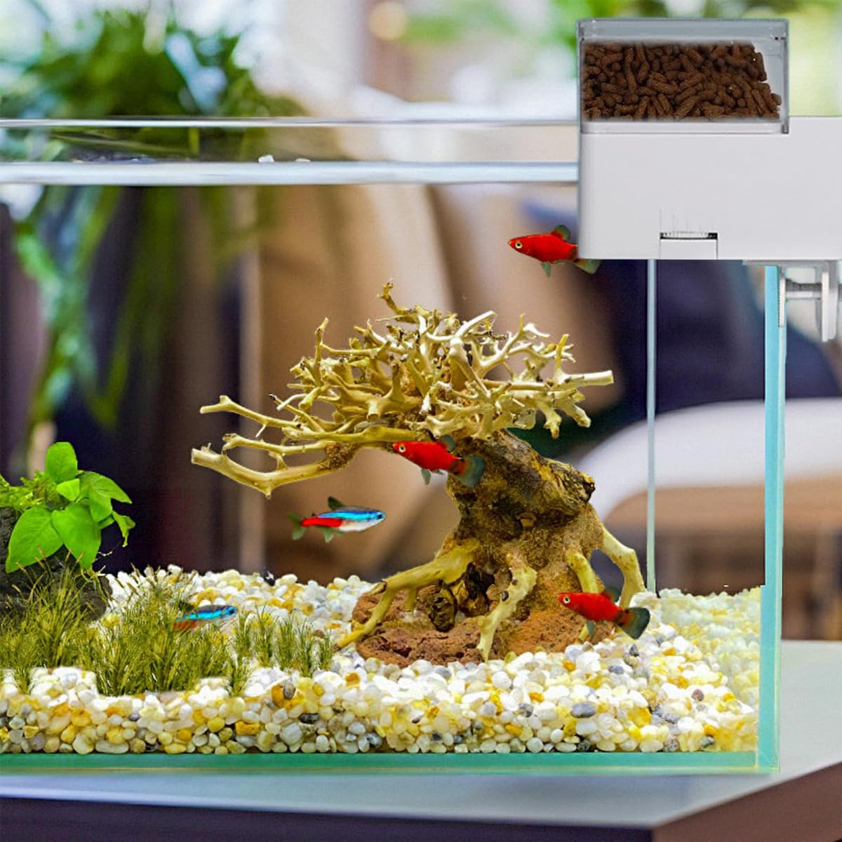 Qury Mangeoire Automatique pour Aquarium 150 ML 4 Modes de Temps Distributeur de Nourriture pour Poissons Rouges et Tortues