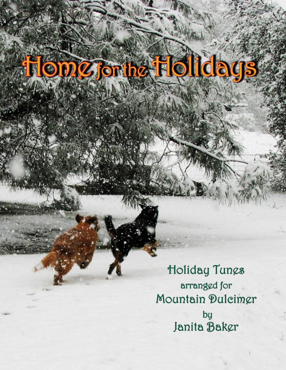 Home for the Holidays: Holiday Tunes Arranged for Mountain Dulcimer