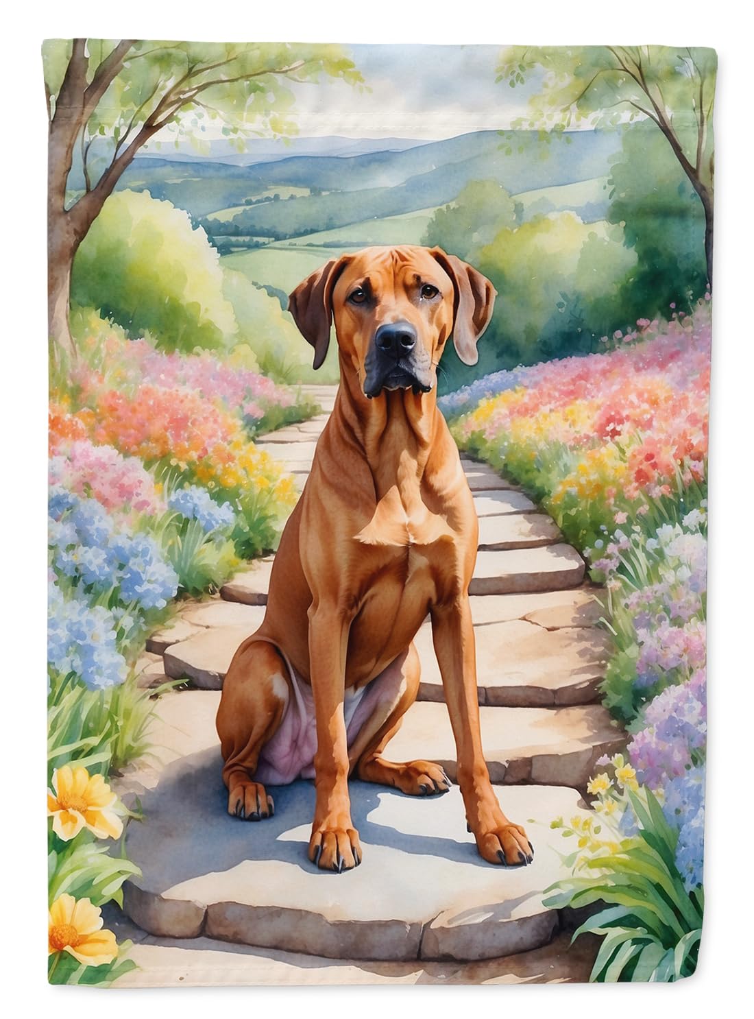 Caroline's TreasuresCaroline's Treasures DAC6704GF Rhodesian Ridgeback Spring Path Garden Flag Mailbox Flag Decorative Yard Flag Banner Outside Patio Artwork Yard Flower Beds, Garden Size, Multicolor