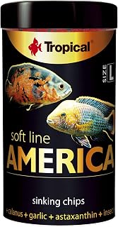 Tropical Softline America L Kuzey Ve Güney Amerika