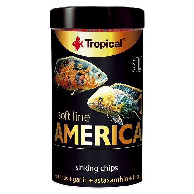 Soft Line America Size L 100ml / 52g