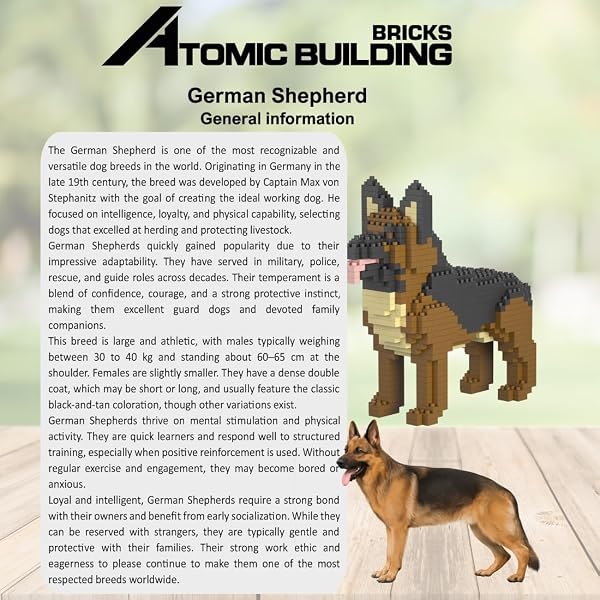 Kit De Construction en Mini-Blocs. Figurine D’Animal De Compagnie À Assembler. pour Collectionneurs Adultes Et Enfants. Chien Berger Allemand/German Shepherd - 5