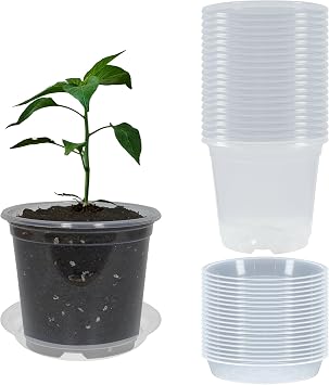 20 Pack 4 Inch Clear Nursery Pots with Drainage and 20 Pack Plant Saucers, Plant Pots for Plants Transparent Potting Containers for Plants Seeding Starter Pot Clear, 4 Inch