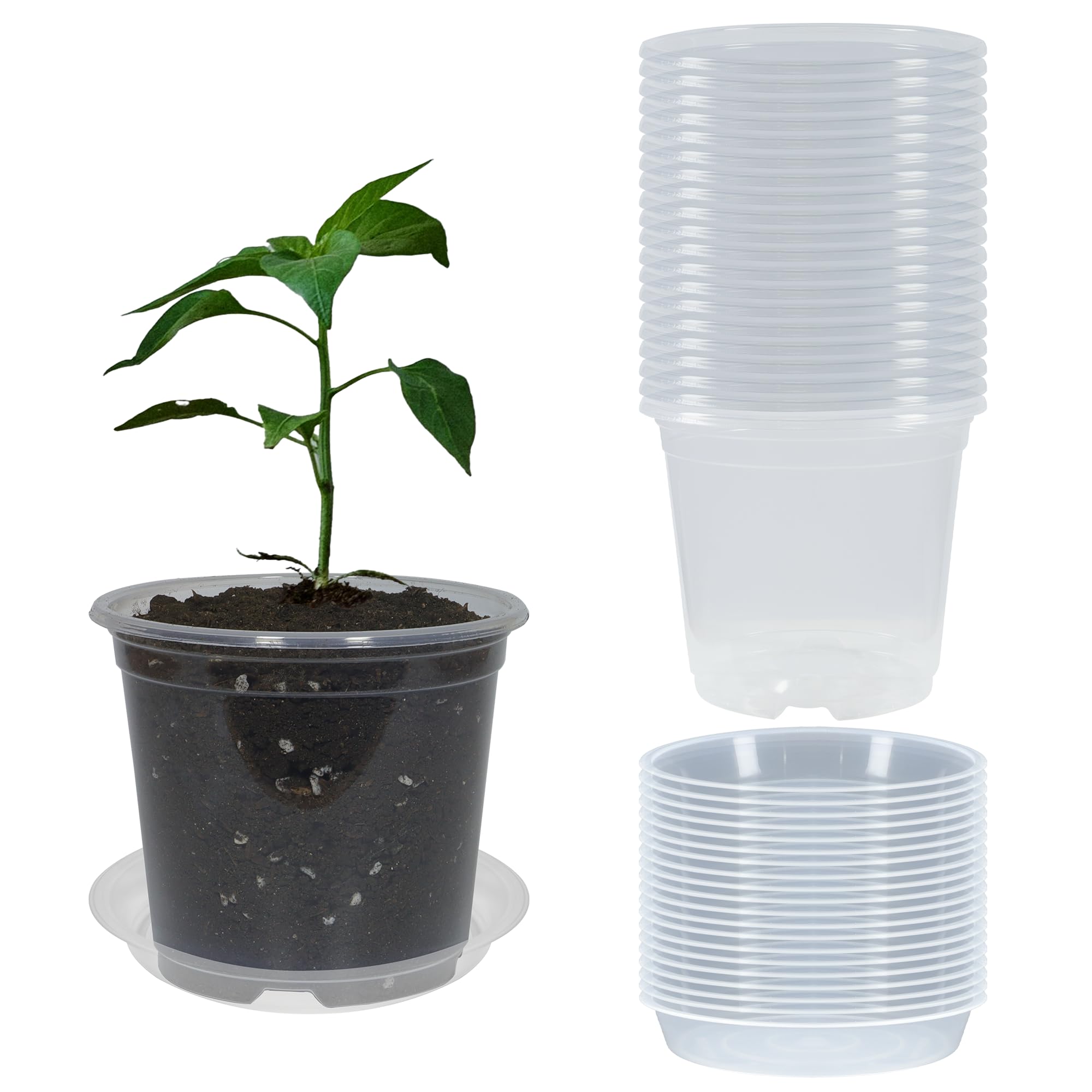 TNTIWQ 20-Pack Clear Nursery Pots