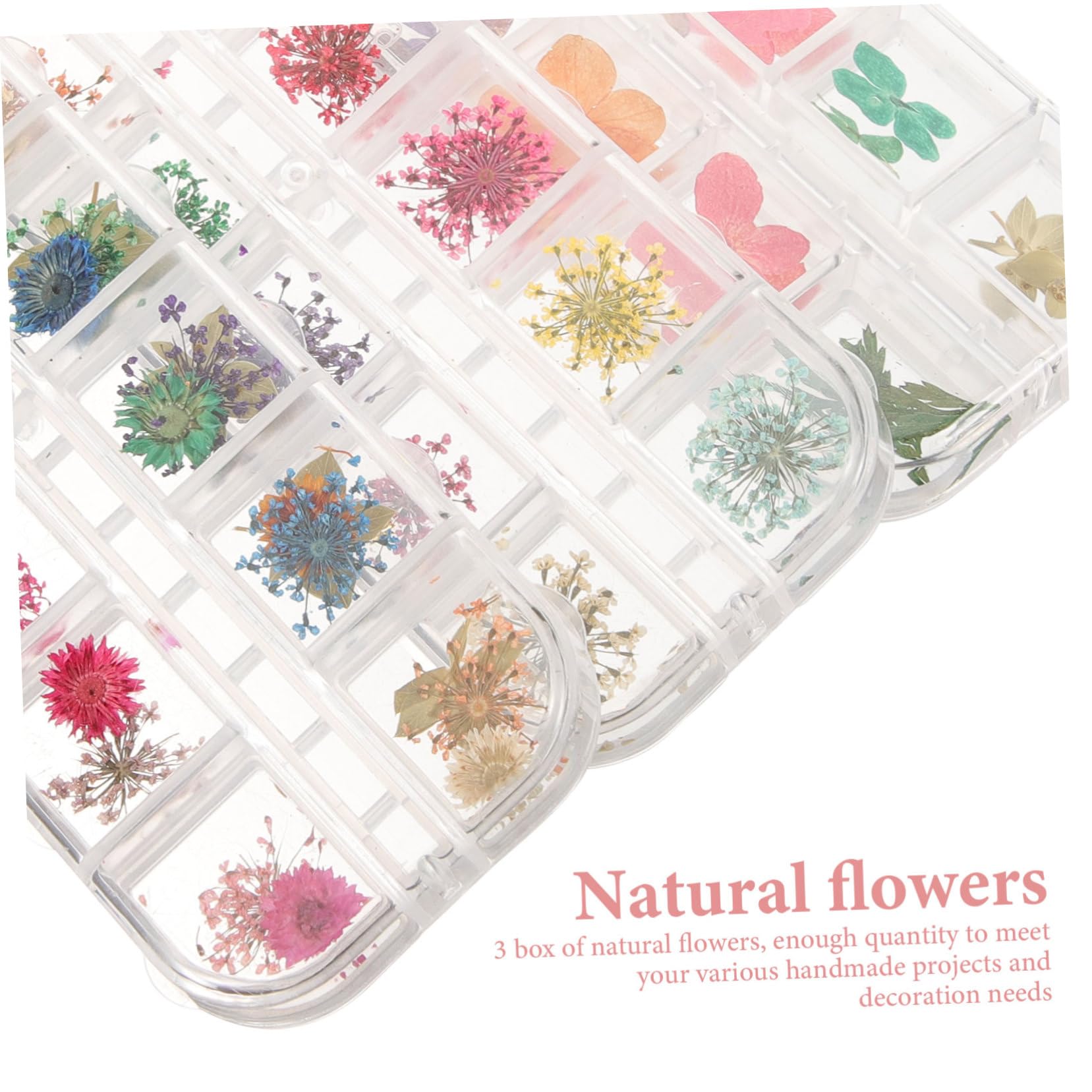 Amosfun Fleurs Séchées Naturelles pour Résine Époxy Kit De Boîtes pour Artisanat De Et Bougie Décoration Créative Parfum Naturel Et Éclat