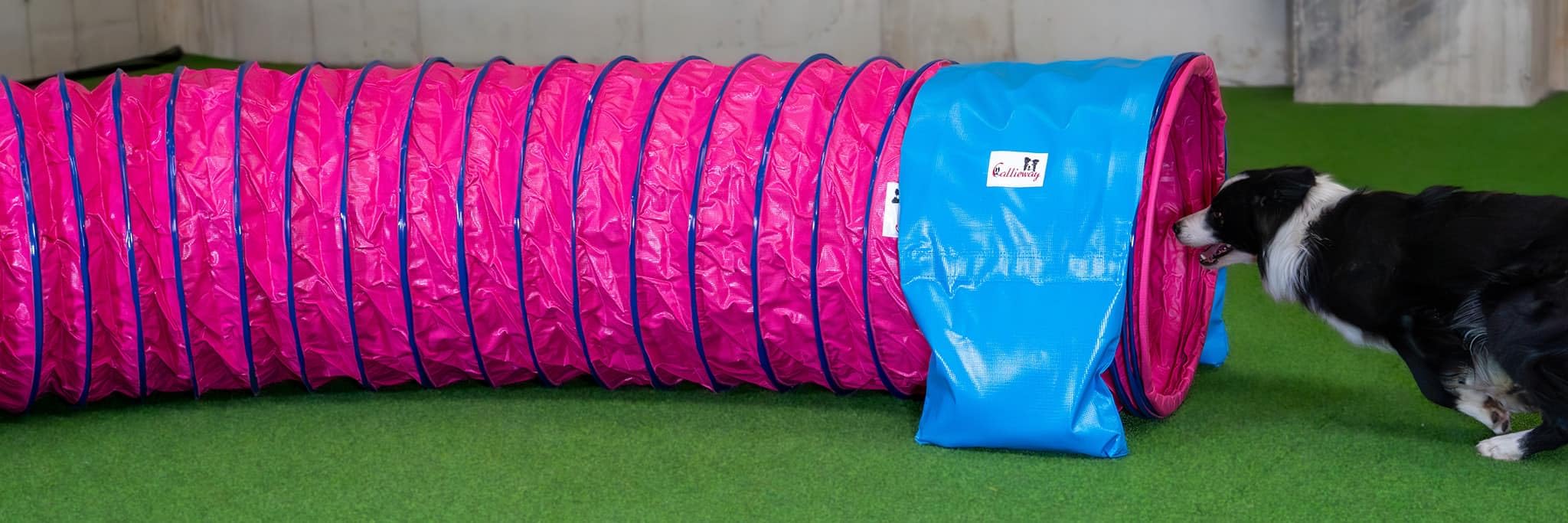 Callieway® Dog Agility tunel profesjonalny / psy tunel 5 m długości / 60 cm Ø Agility urządzenie (5 m, fuksja)