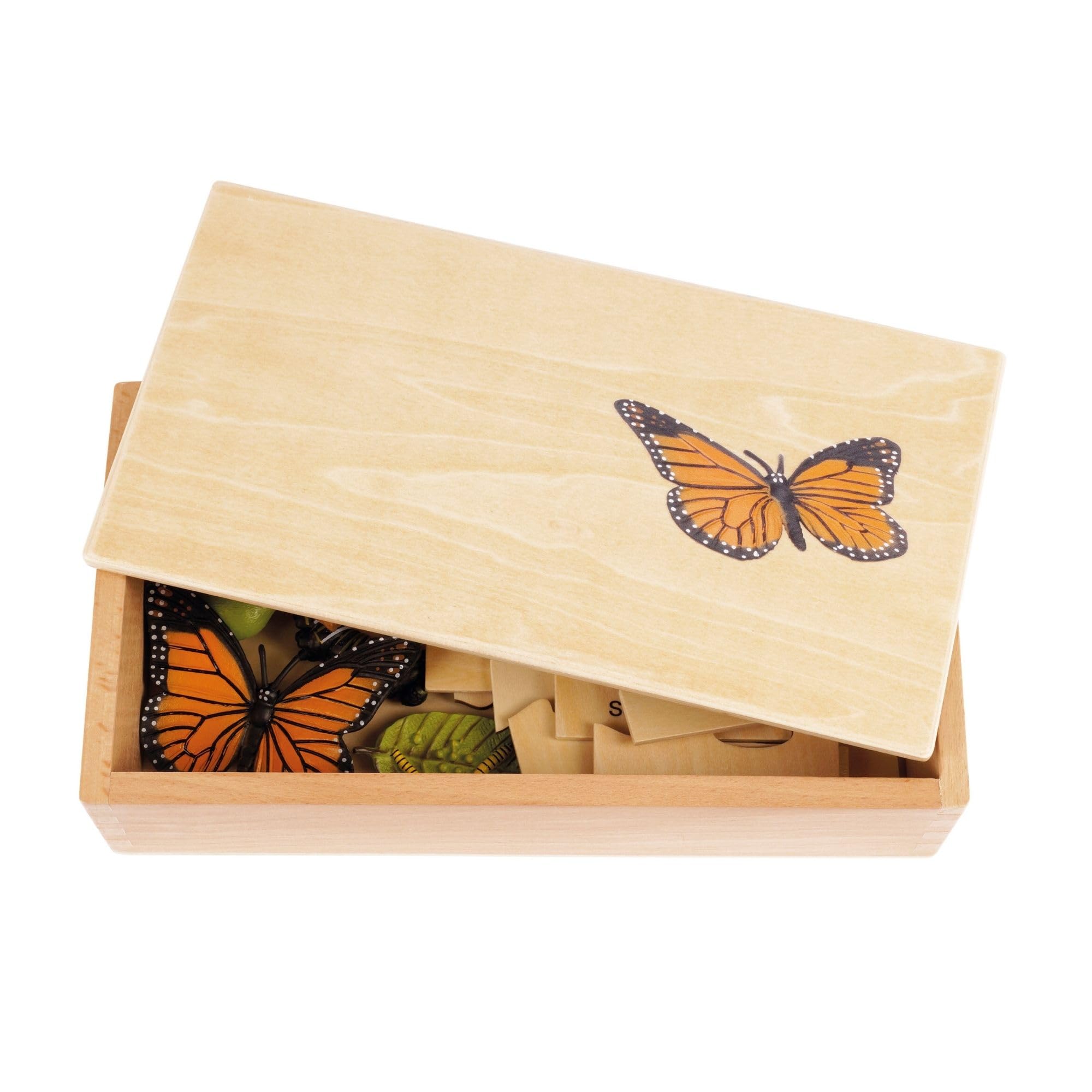 TimeTEX Lebenszyklus eines Schmetterlings Montessori Premium Holzbox 23,1x12,1x5,6 cm