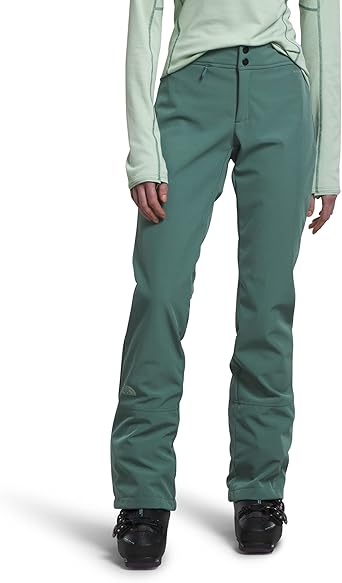 Amazon.com : The North Face Women's Apex STH Snow Pant, TNF