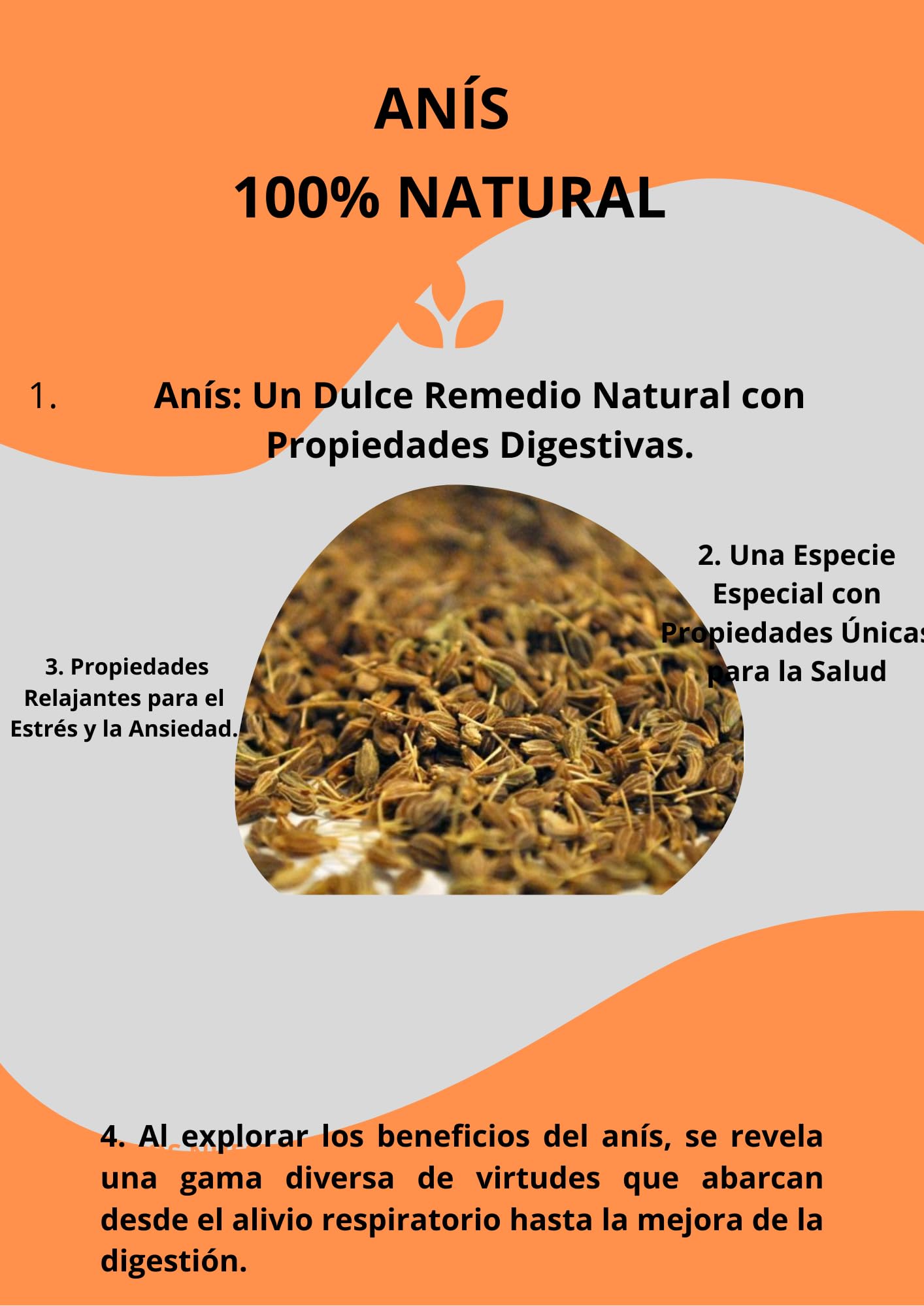 ANIS VERDE - Anis Estrellado - Anis Estrellado Entero - Anis en Grano - Anis - Anís - Estrellas de Anis - Anise - Grano de Anis - Te de Anis Verde - Anis en Granel - Infusiones Anis - Anis a Granel.