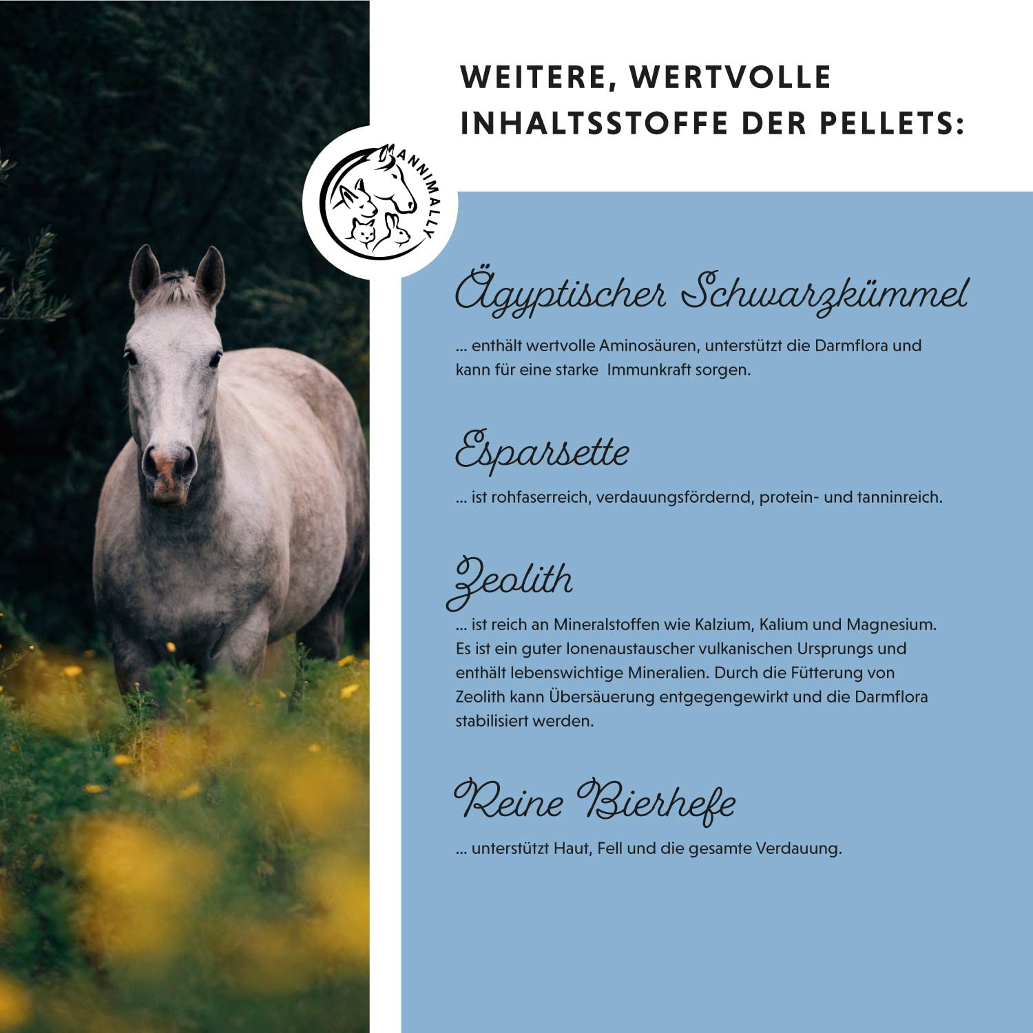 Annimally Zinc pour Chevaux - Pellets de Zinc (700g) Haute Dose avec Cumin Noir, zéolite, Sainfoin et levure de bière pour la Peau, Les Poils et Les Sabots