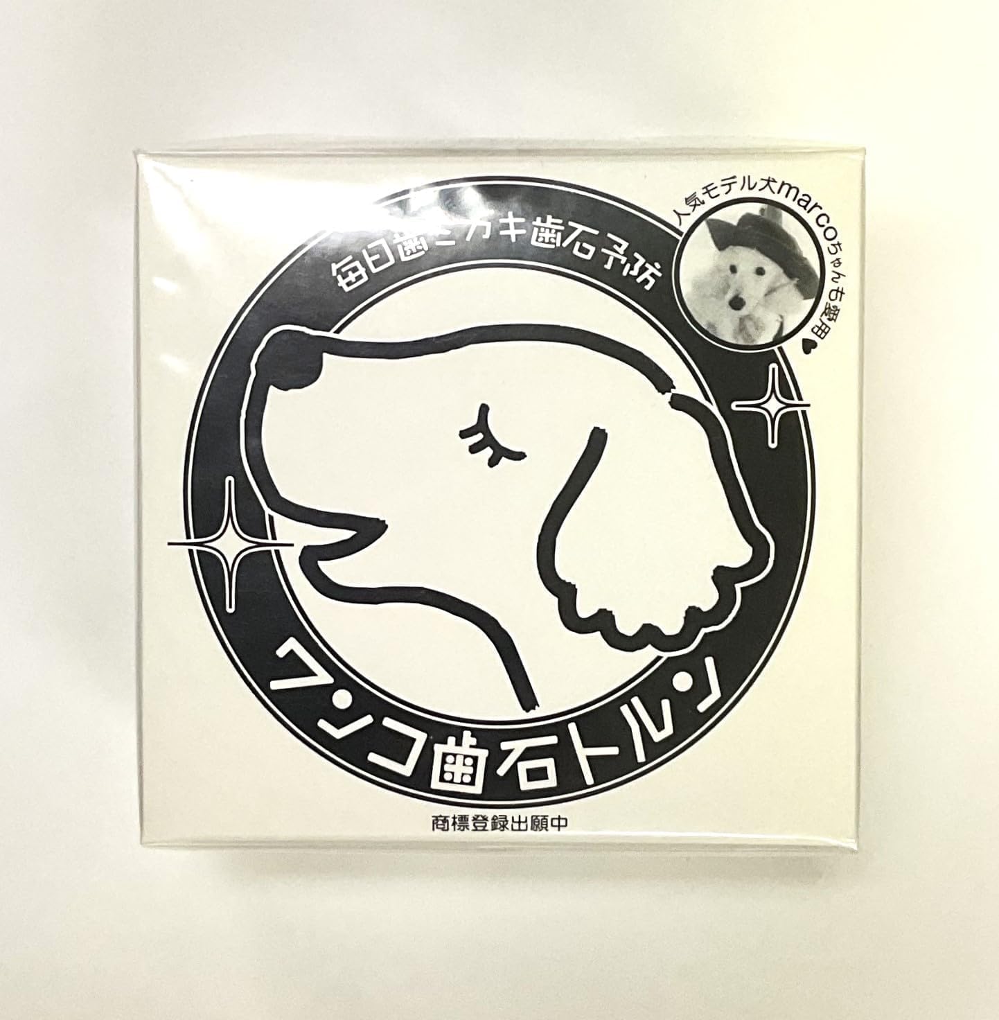 獅子 古獣 朱砂 水凍 ペア印 高級印材 ラオス 篆刻 印材書道 落款 対章