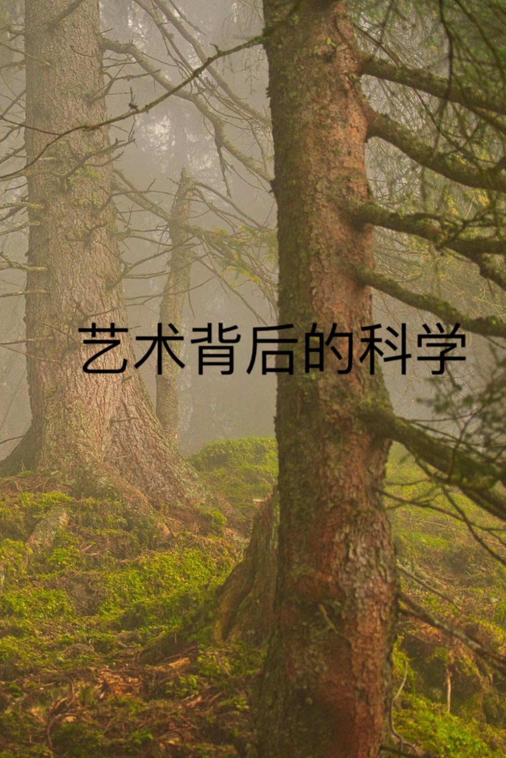 艺术背后的科学: 眼如艺术家，思如科学家