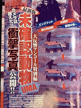 Amazon.co.jp: 『2006年8月号 EX大衆 ほしのあき 佐藤寛子 ポラ