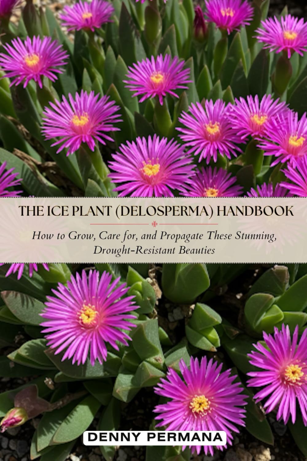 The Ice Plant (Delosperma) Handbook: How to Grow, Care for, and Propagate These Stunning, Drought-Resistant Beauties