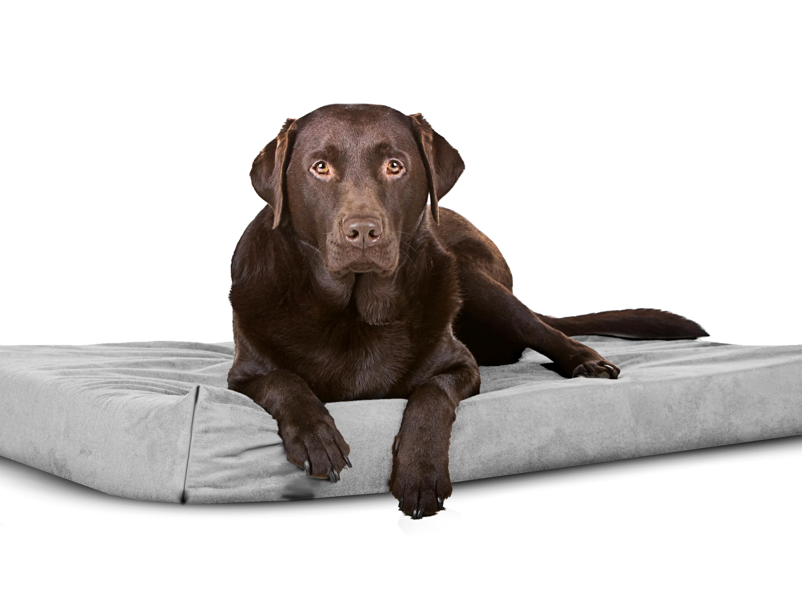 Sapphire Collection Waterproof Bed Cushion Pet Bed and Mattress Dog Cage Mat Pet Dog Cat Bed Pad with Washable & Removable Zipped Cover (Medium (90 x 60 x 5cm), Grey)