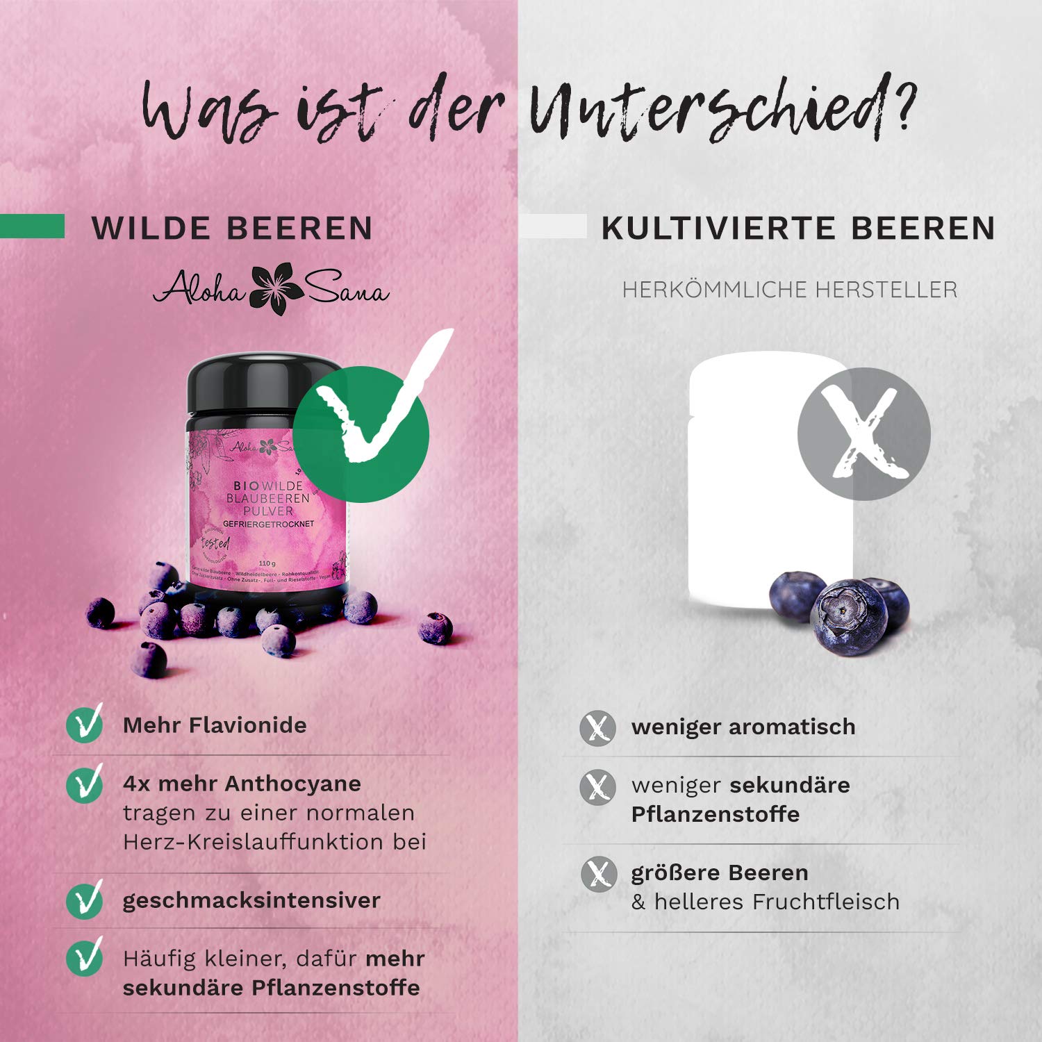 Aloha Sana | Wilde Blaubeeren Pulver BIO in Rohkostqualität (110g) | Heidelbeerpulver gefriergetrocknet wild | Blaubeerpulver getrocknet im Ultraviolettglas | Laborgeprüftes Fruchtpulver