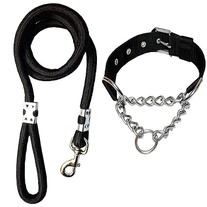 Hundur Store Dog Belt Combo of Choke Collar with Rope in Black Color for Medium Dog