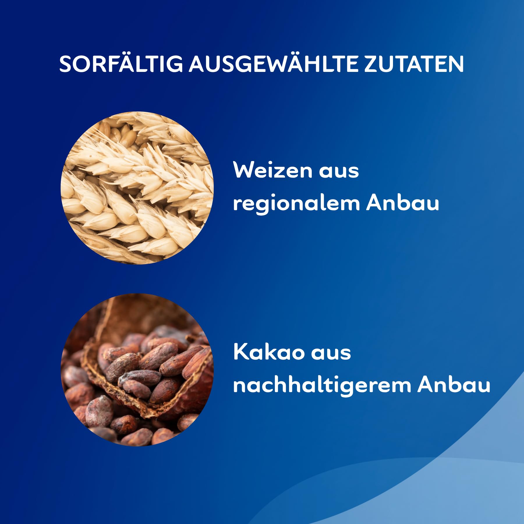 Bahlsen Lebkuchen-Brezel, 1er Pack Thekendispenser, Lebkuchen in Brezelform mit Schokolade, einzeln verpackt (1 x 1,3 kg)