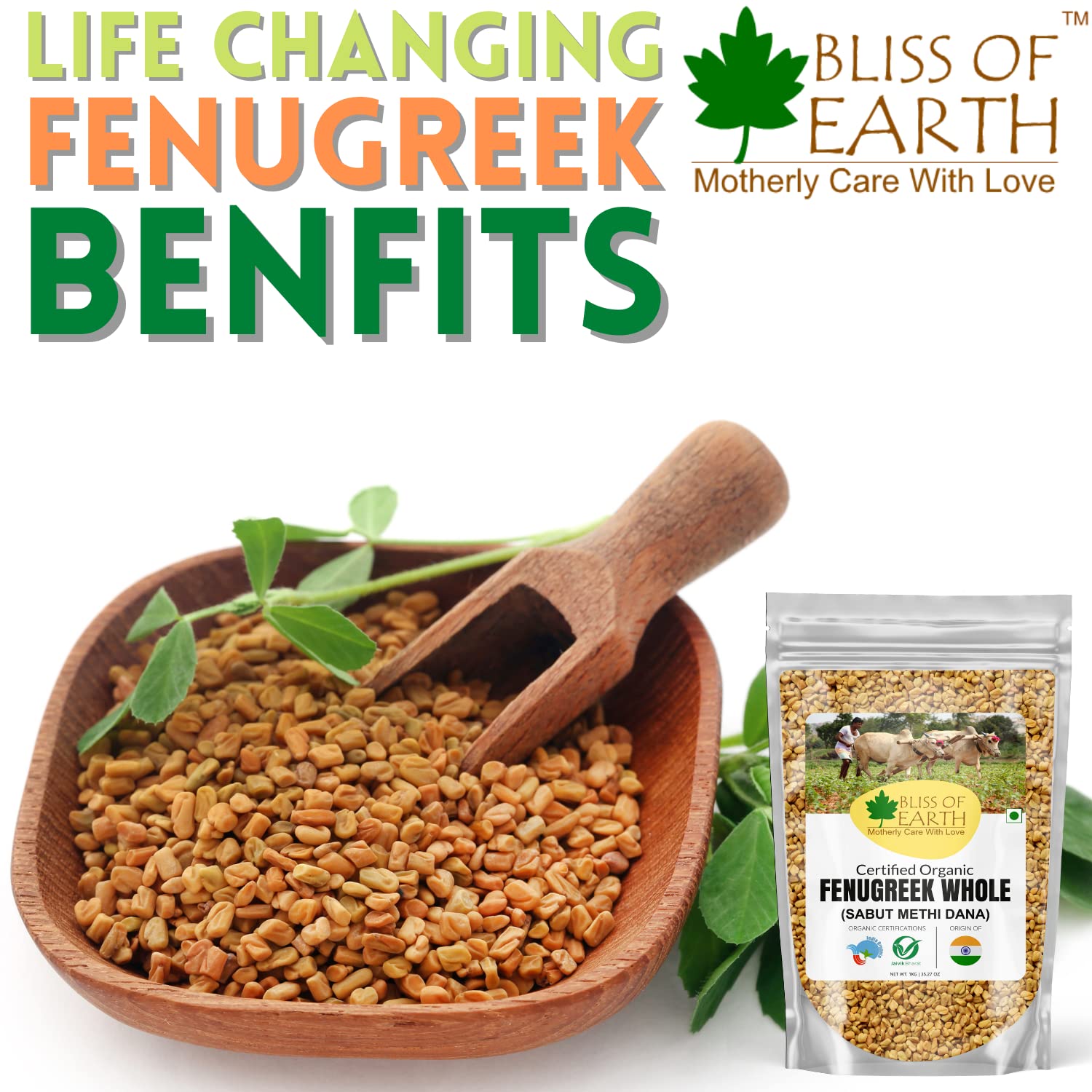 Bliss of Earth Vietnames 200gm star anise chakra phool + Indian 200gm Fenugreek seeds (methi dana) spices and masala For Boosting metabolism & Immunity | Weight Loss | Healthy cooking - Image 5 thumbnail