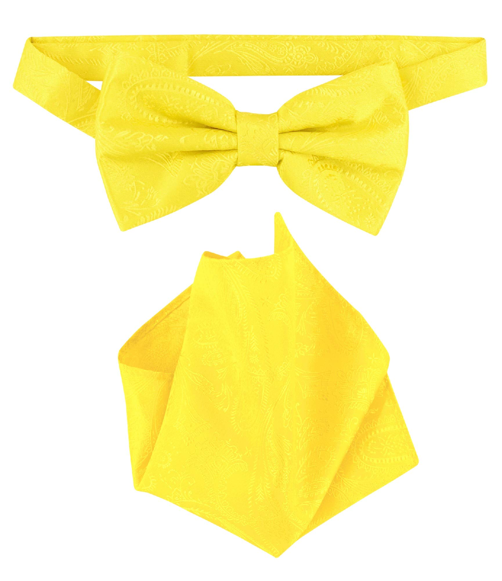 Vesuvio Napoli BowTie Yellow Paisley Color Mens Bow Tie & Handkerchief