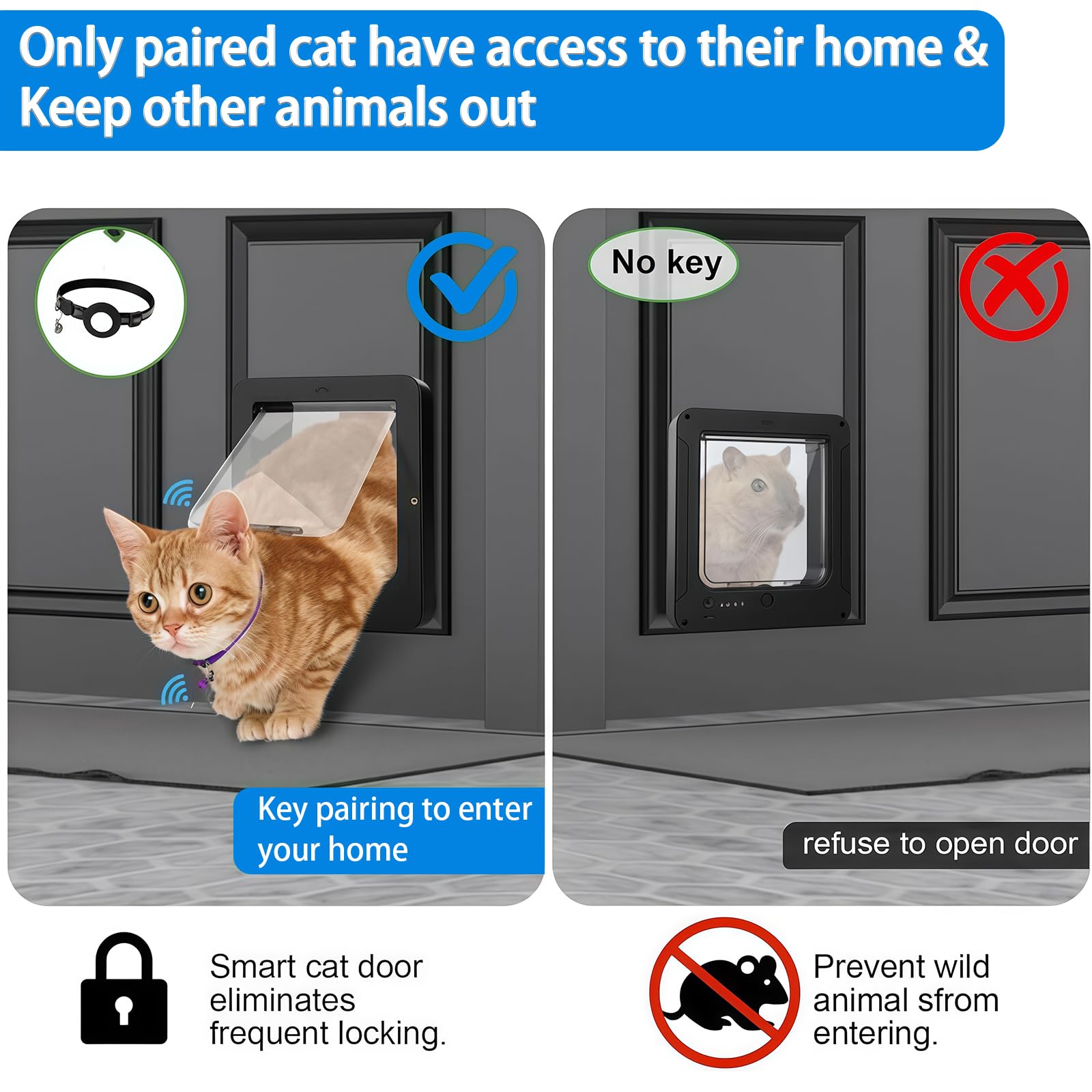 Porta gattaiola con 2 chiavi e telecomando, meccanismo di bloccaggio a 4 vie, dimensioni apertura 19 x 20,5 cm, adatta per cani e gatti fino a 11,3 kg