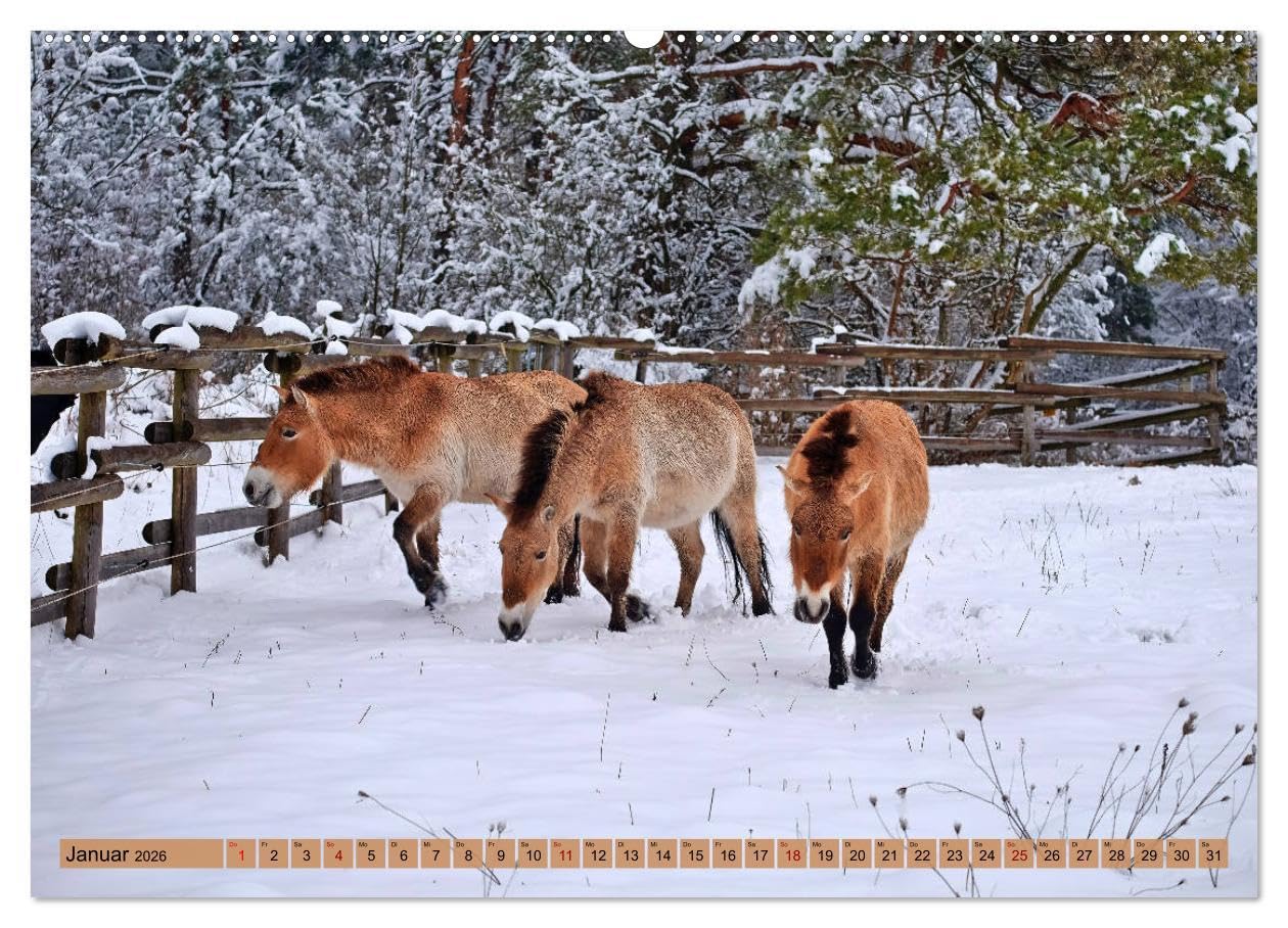 Komm mit Ausflugsziele rund um Augsburg (hochwertiger Premium Wandkalender 2026 DIN A2 quer), Kunstdruck in Hochglanz: Anregungen für Tagestouren in der Nähe von Augsburg (CALVENDO Natur)