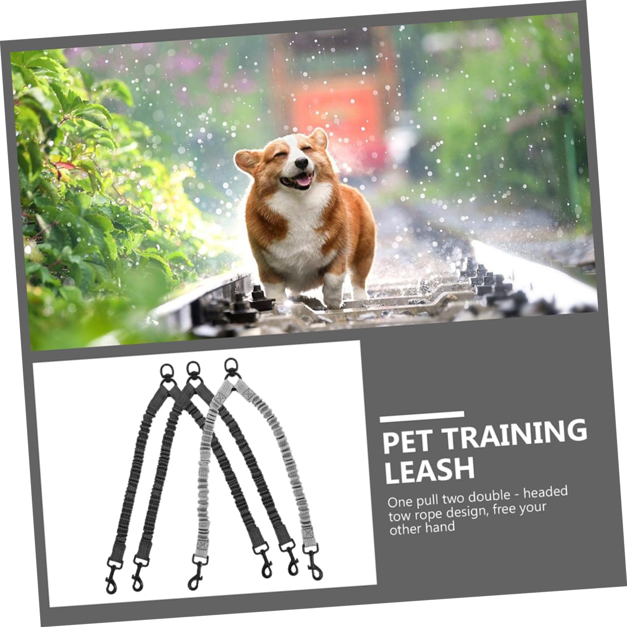 Laisse Double pour Chiens à Double Tête, 3 Pièces, Polyester | Acier Inoxydable, pour Promenade et Extérieur, Design Ergonomique, Résistance à Rupture