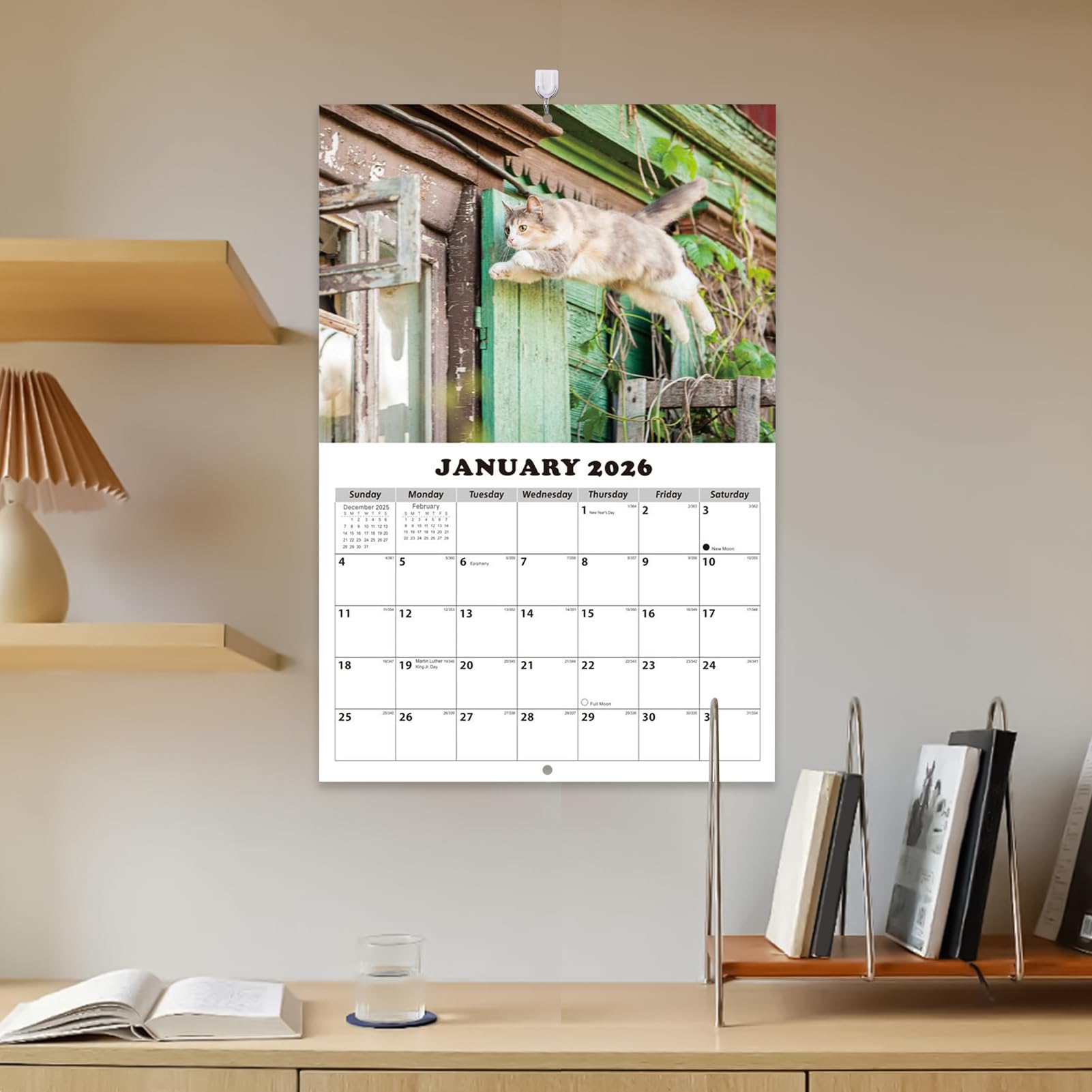 Acunny Kattenkalender 2026, wandkalender, 13-maandenplanner