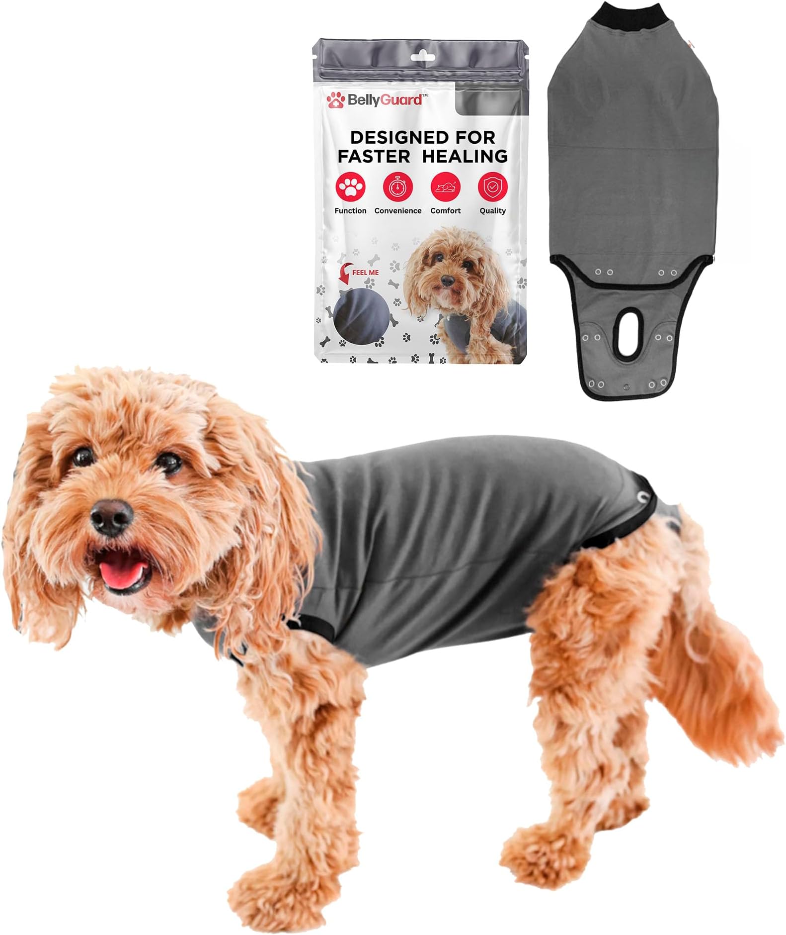 BellyGuard Dog Surgery Recovery Suit, Dog Onesie for Post-Op Care, Recovery Apparel for Female and Male, Surgical Body Cover for Canine Healing Support