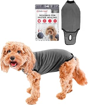 BellyGuard Dog Surgery Recovery Suit, Male Female After Spay Neuter Onesie