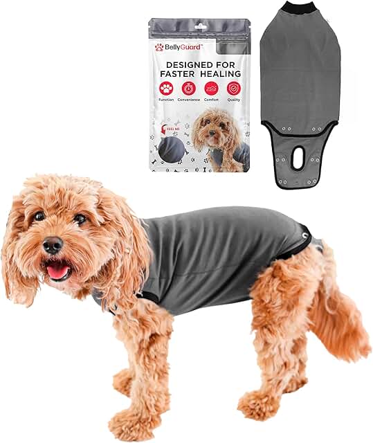 BellyGuard Hundebody nach OP für Hündin & Rüde, OP Body Hund Kastration Hündin, Hunde Body Operation Hündin, Body für Hunde nach OP & Hundebody nach Kastration Rüde, Alternative zu Halskrause product image