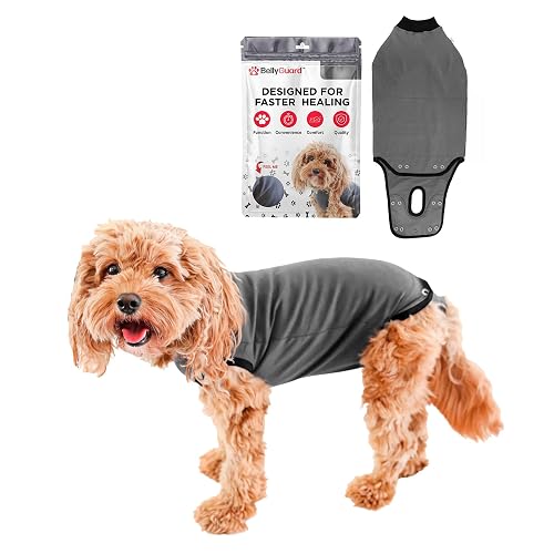 BellyGuard - Mameluco de recuperación para Perros después de la cirugía, Post esterilización, Neuter, Traje…