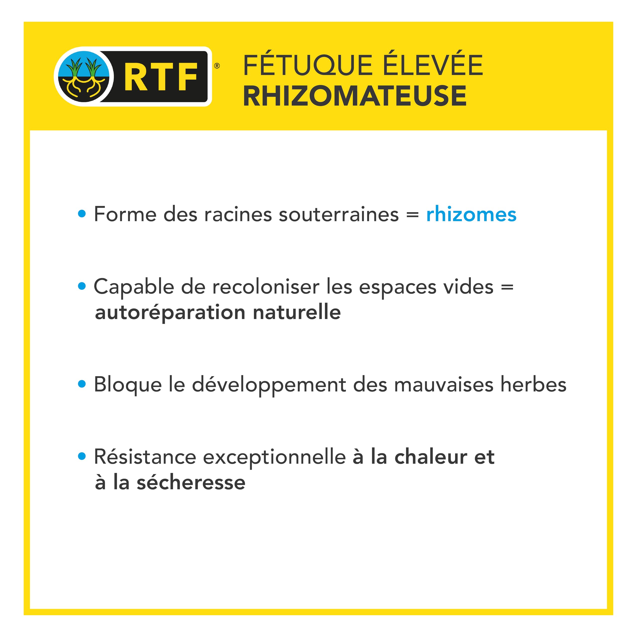 Barenbrug Gazon Littoral & Fortes Chaleurs 3kg Résistant Sécheresse Embruns