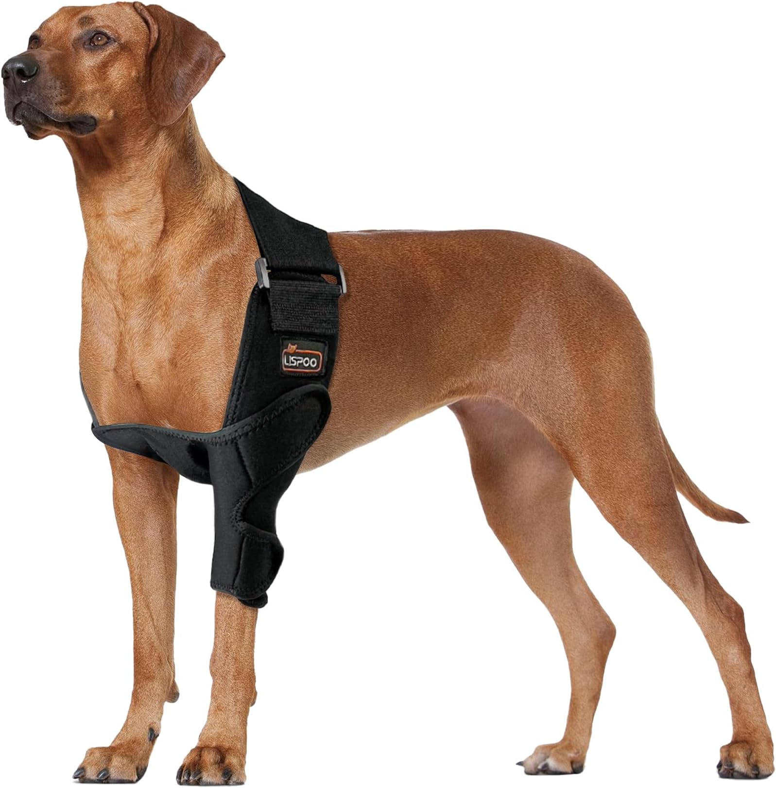 LISPOO Dog Elbow Dysplasia Support Brace Protector Pads Support for Elbow Arthritis, Hygroma, Dog Shoulder Brace Offers Support and Protection, Relief Pain and Bettre Recovery with Dog Elbow Brace(L)