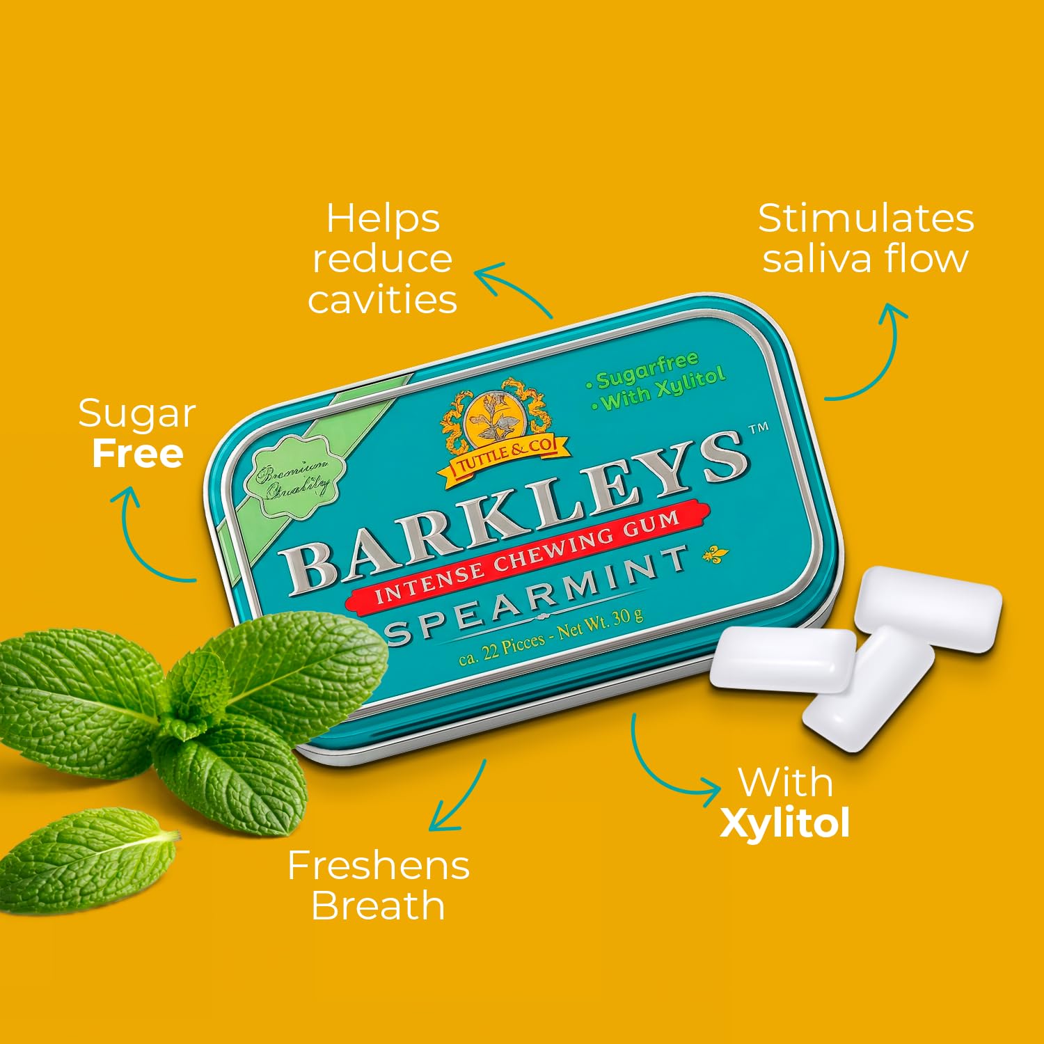 Gomme da Masticare Alla Menta- Barkleys Spearmint - Tuttle & Co. - Scatola di Metallo - 9 x 30 g