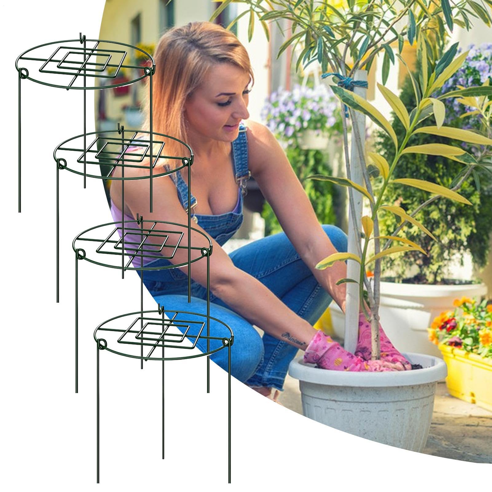 Gabbia per Peonie 4 Supporti per Piante