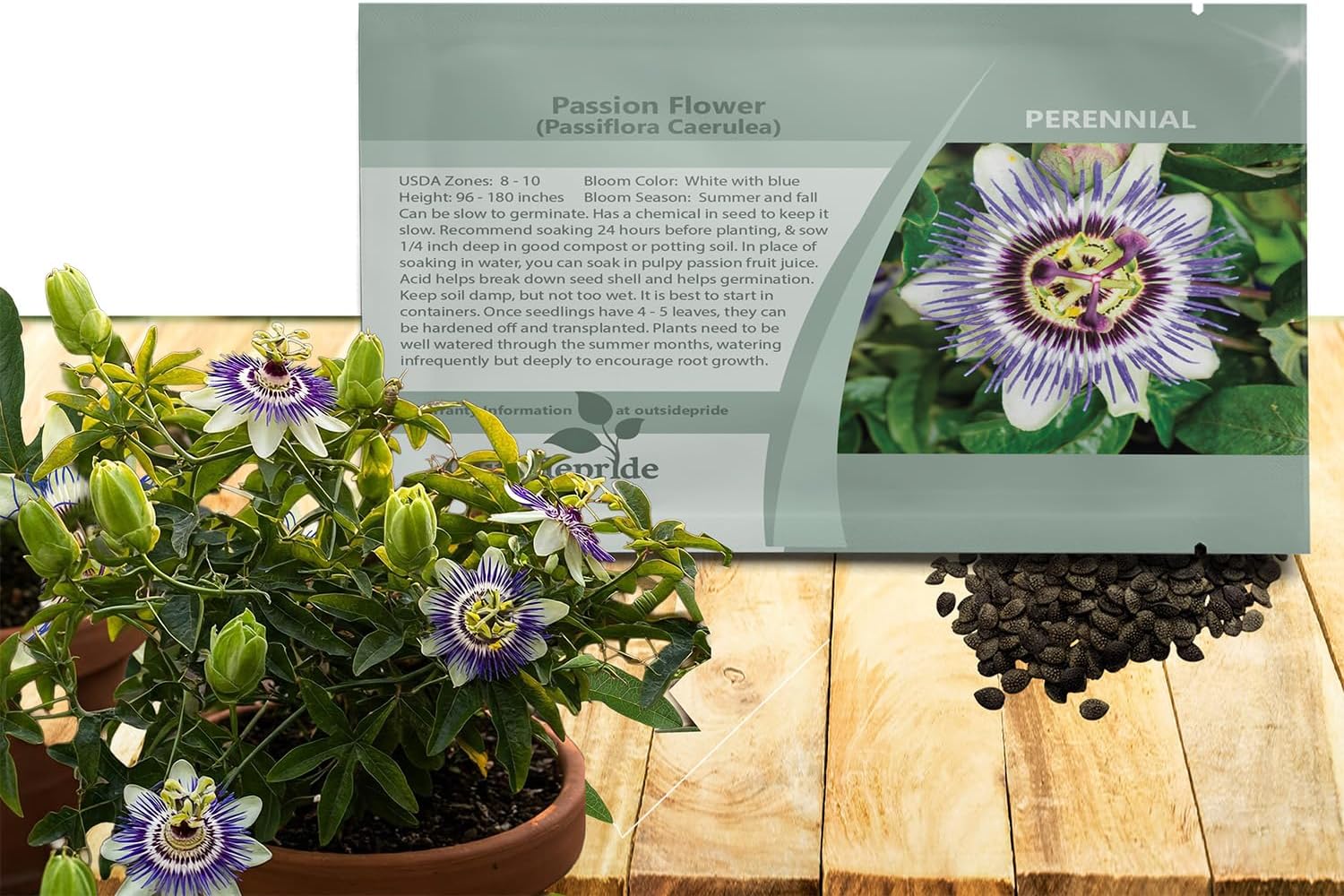 Outsidepride Passion Flower Seeds - 50 Pcs. Perennial, Fast-Growing & Pollinator Friendly, Flower Seeds for Planting Tall, Fragrant & Vibrant Star-Shaped Blooms for Trellises, Fences & Arbors