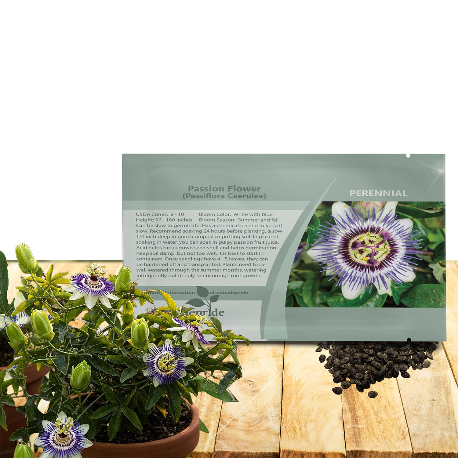 Outsidepride Passion Flower Seeds - 50 Pcs. Perennial, Fast-Growing & Pollinator Friendly, Flower Seeds for Planting Tall, Fragrant & Vibrant Star-Shaped Blooms for Trellises, Fences & Arbors
