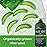 Being Naturals Aloe vera Gel - from 100% Pure Organic Aloe - Natural Raw Moisturizer for Face, Body, Hair. Perfect for Sunburn, Acne, Razor Bumps 16.9 fl oz (Tea Tree, Superfood, Hyaluronic Acid)