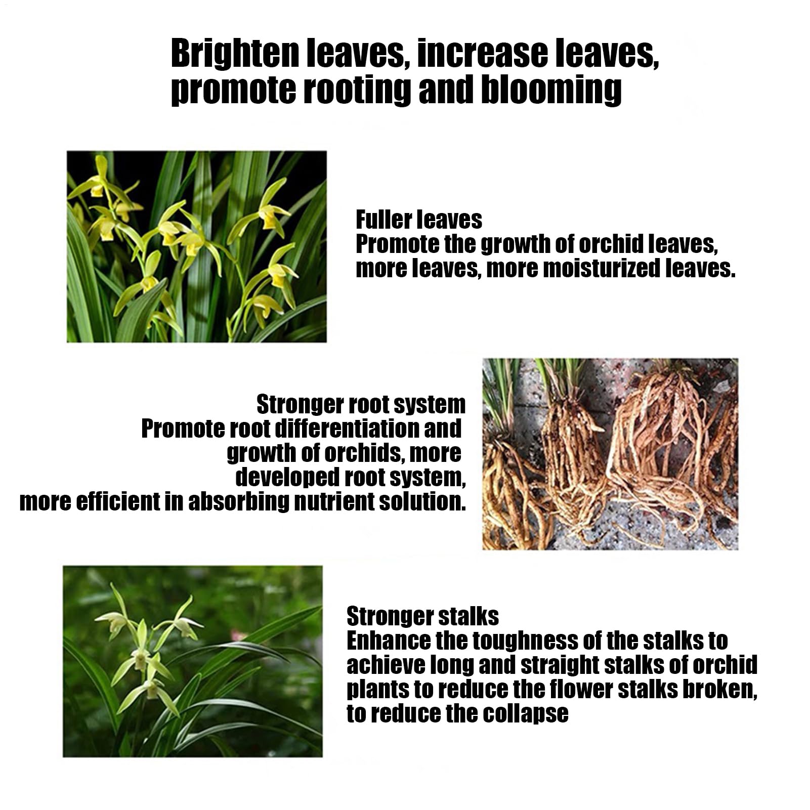 Fertilizante de orquídeas - potenciador de raíces, Booster | Spray promotor del crecimiento foliar, fórmula líquida en nutrientes, solución de alimentación de plantas equilibrada para flore