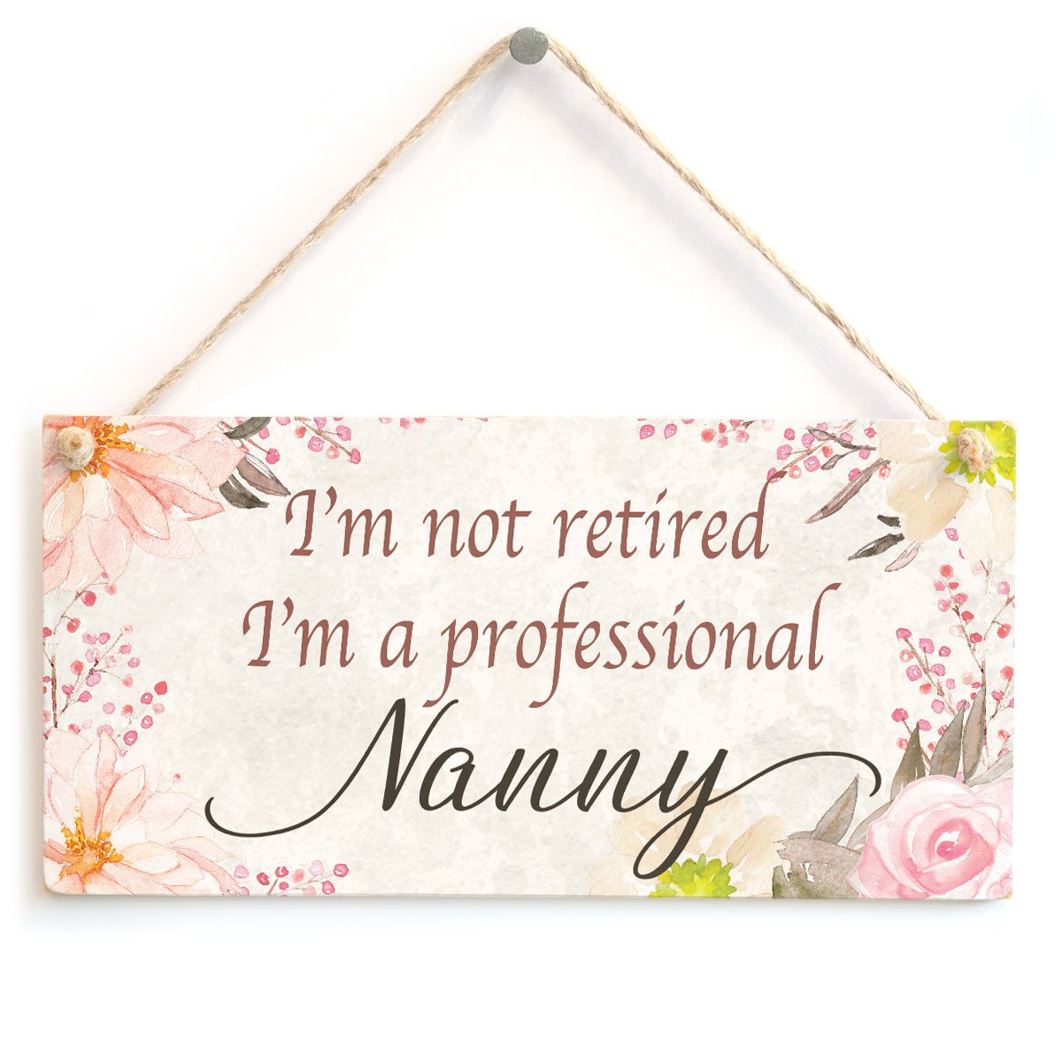 I’m not Retired I’m a Professional Nanny - Beautiful Little Gift Gift Plaque from Grandchildren Retirement Gift