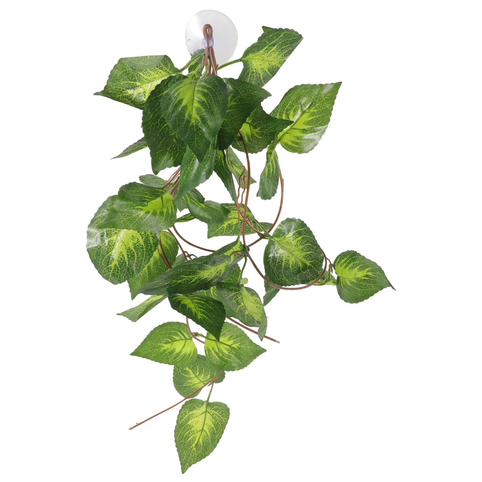 DOITOOL 5 Piezas Planta de simulación de Oruga decoración de vides Falsas contenedores de Vidrio Animal Plantas Artificiales Planta Falsa de Acuario Planta de pecera Hojas