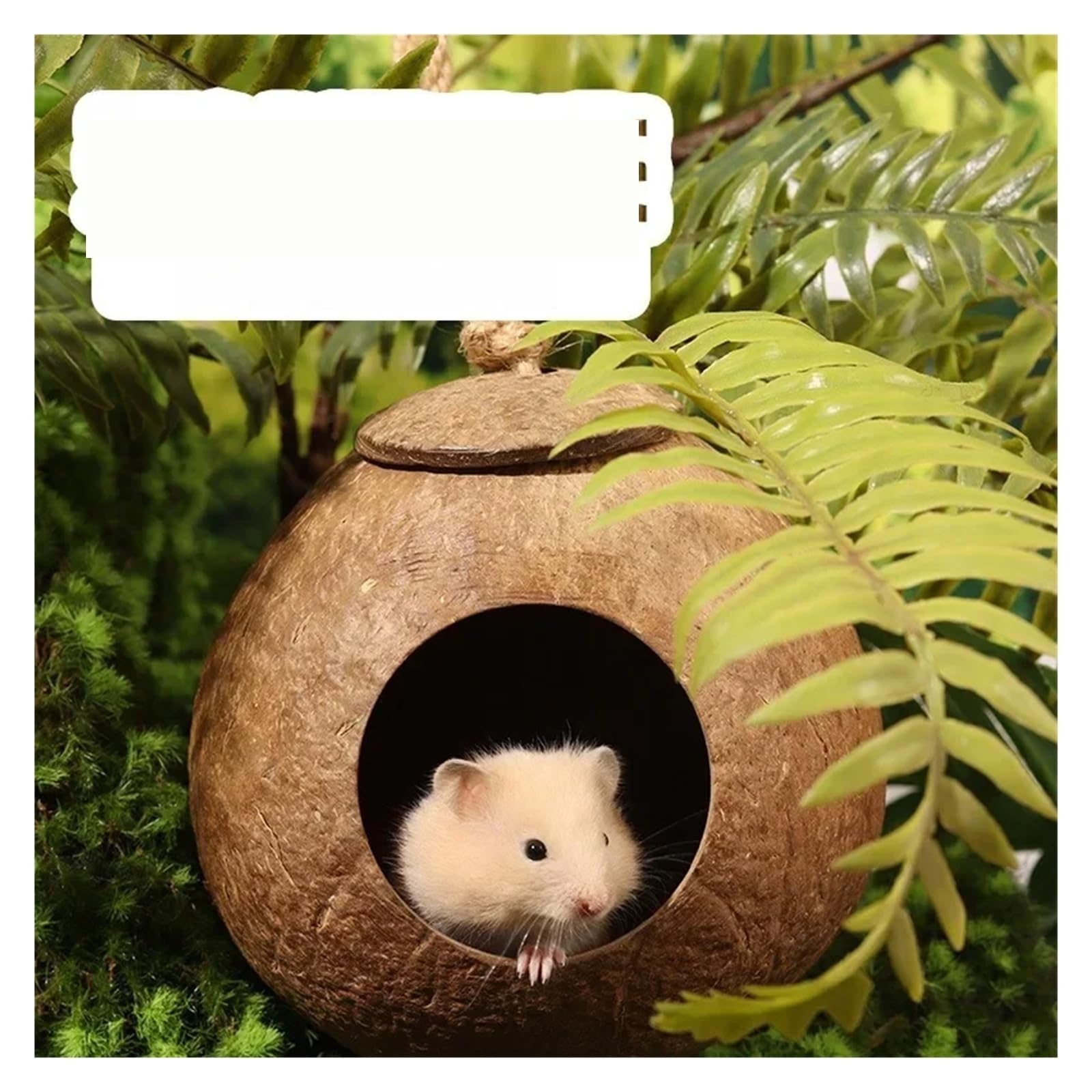 Handgefertigtes Hamsternest aus Kokosnussschale, Polieren und Vermeidung von Kleintierholz, Goldener Bär,Papageienvogel(Color 2)