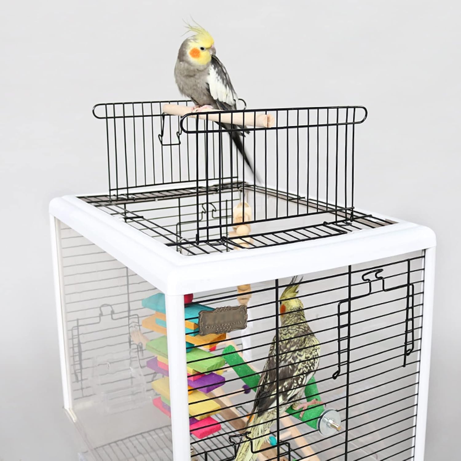 Jaula para Pájaros,Jaula Pájaros,Jaula de pájaros, Jaula for pájaros de Metal Resistente a la oxidación con Escalera en el Techo y Bandeja Inferior for cacatúas, periquitos, agapornis