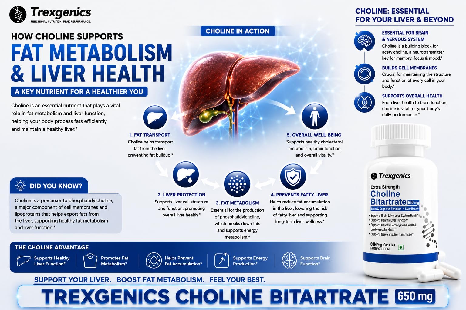 Trexgenics CHOLINE BITARTRATE 650 mg Cognitive Function, Fat Metabolism, Brain & Nervous System Health Support VEGAN & NON-GMO (60 Veg. Capsules) (Pack of 1) 4