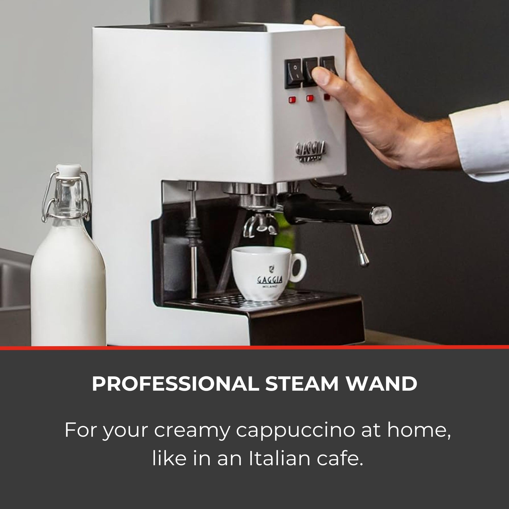 Amazon.com: Gaggia RI9380/48 Classic Evo Pro Espresso Machine